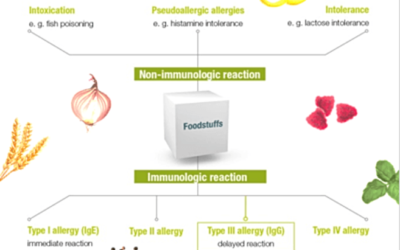 Immune reaction to foods