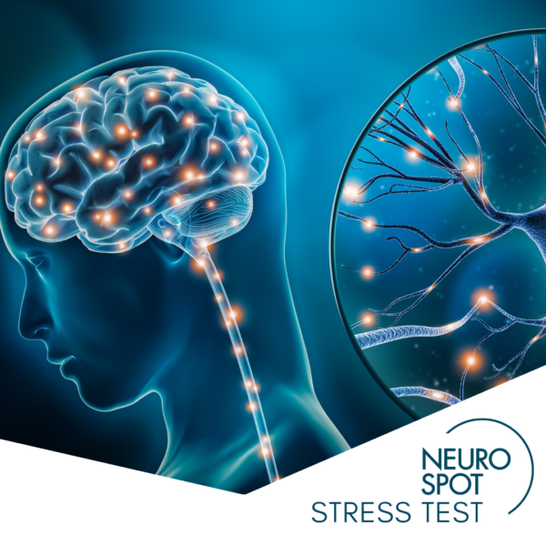Neurotransmitter stress test