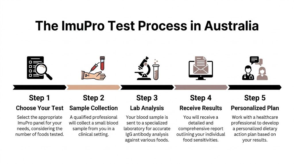 A five-step infographic showing the ImuPro blood test process for identifying food sensitivities in Australia.