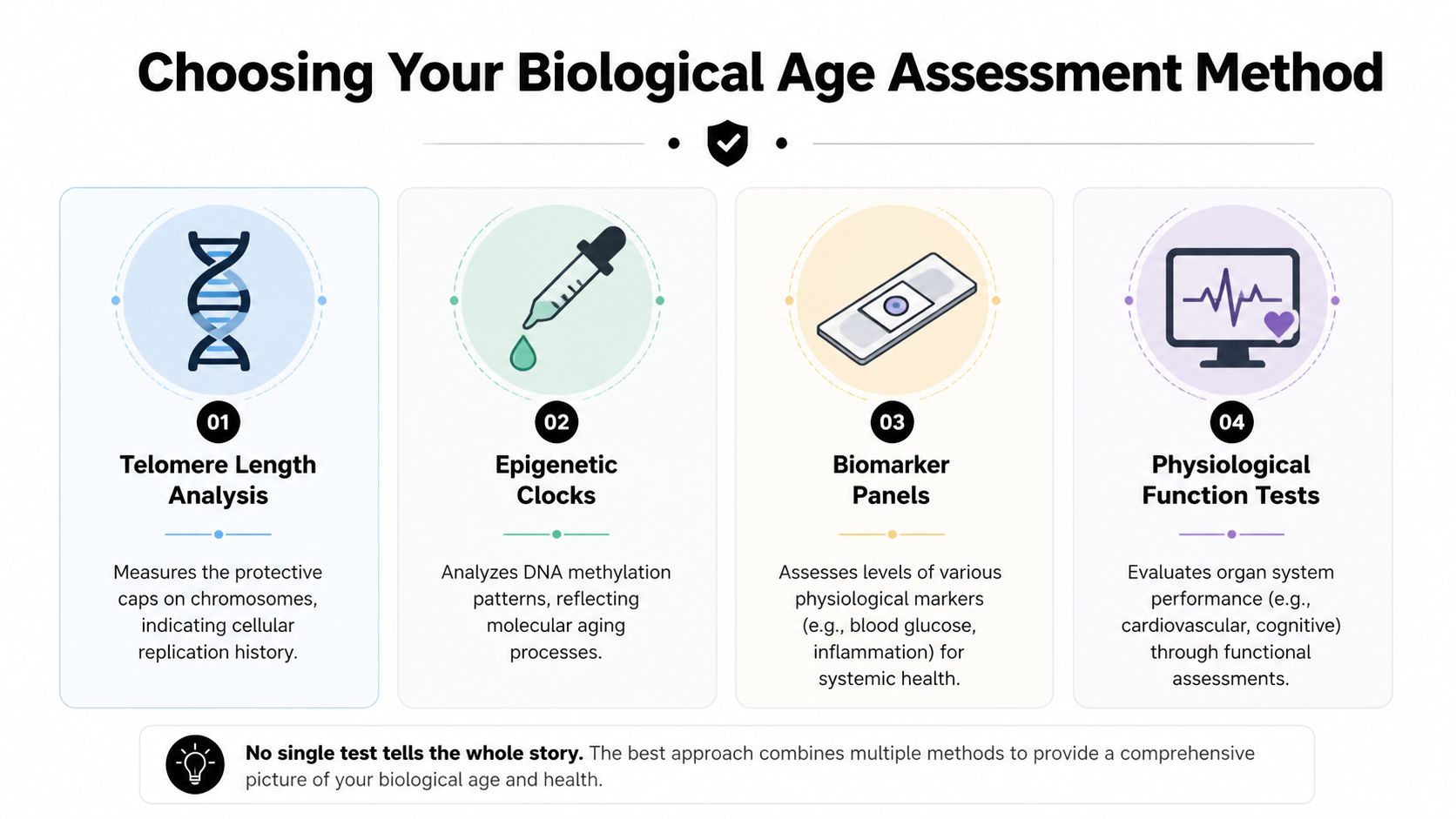 An infographic detailing four different scientific methods for assessing biological age, including telomere analysis and biomarker panels.